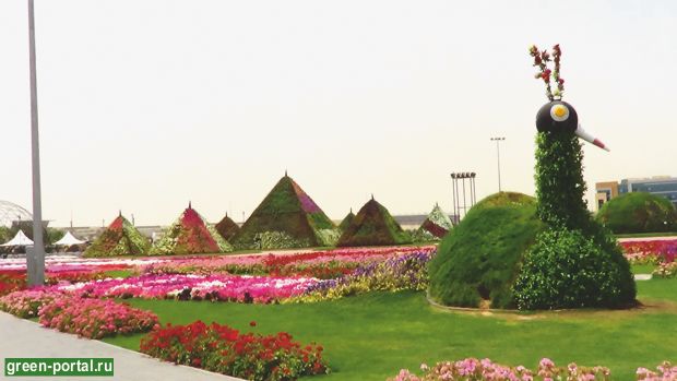 Дубай Миракл Гарден (Dubai Miracle Garden)