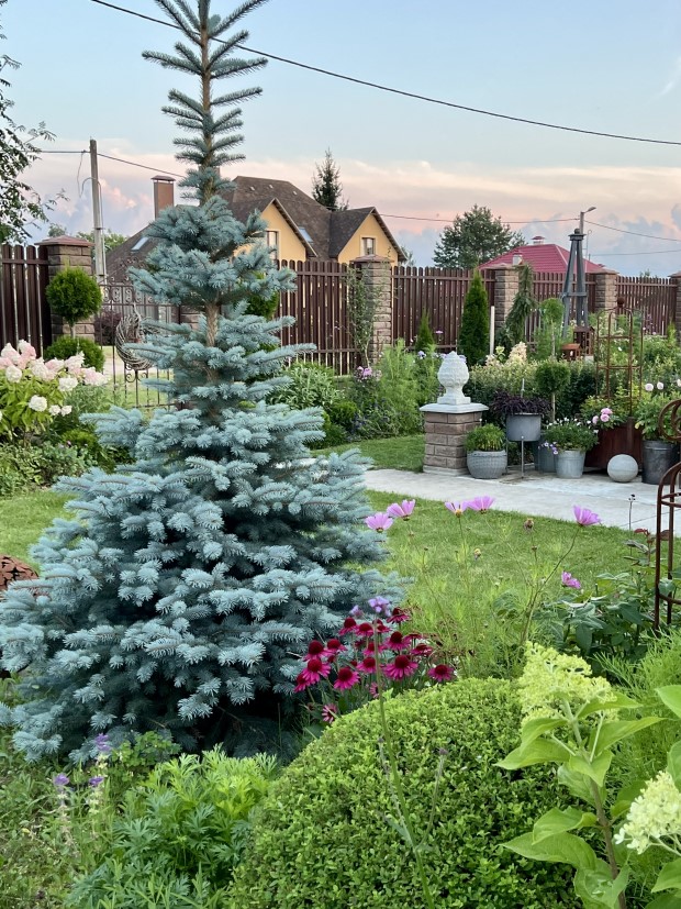 18_elena_krapivka_090826.jpg