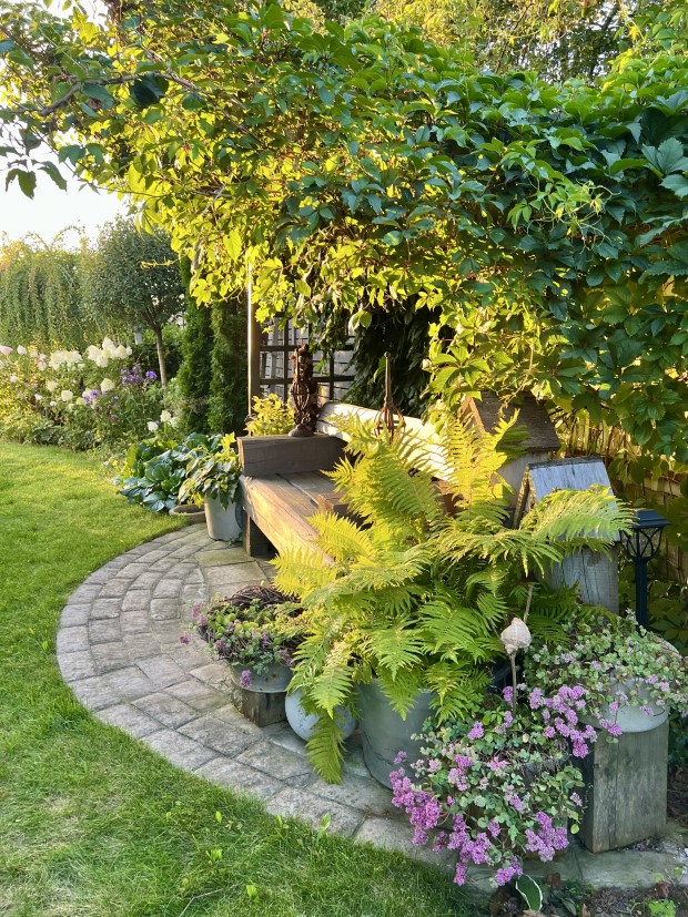 20_elena_krapivka_090826.jpg