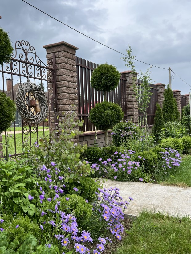 22_elena_krapivka_090826.jpg