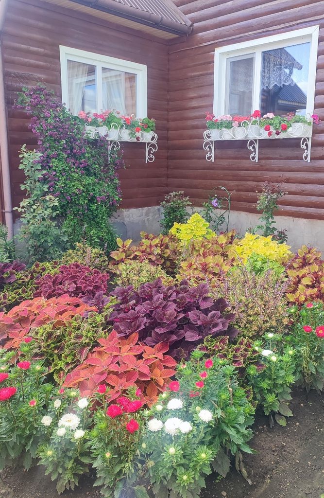 Счастливый дом большой семьи. Сад Зили Хасановой