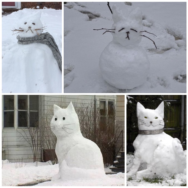 Снежные котики